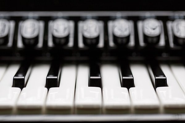 Quels sont les différents types d'harmonica ?